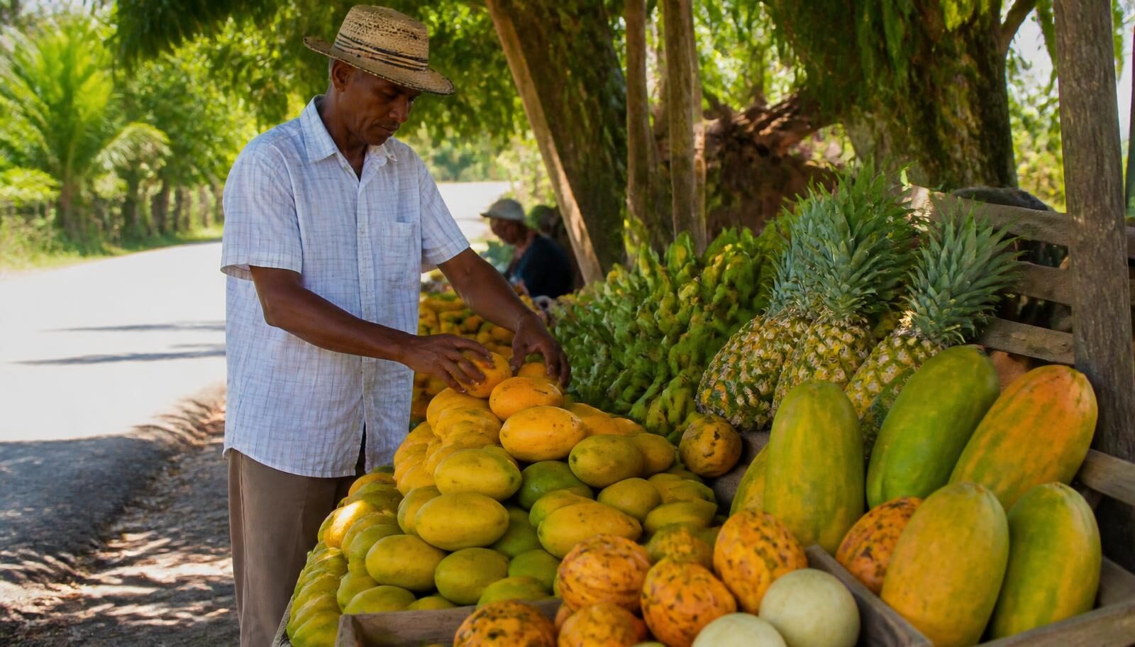 A Dominican fruit market stall stacked with mangoes, bananas and pineapples