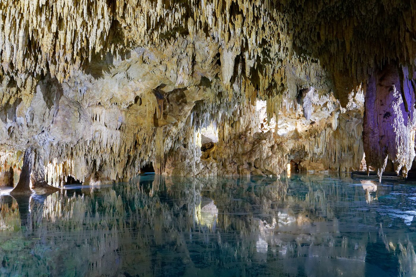 A clear freshwater cenote in the Riviera Maya jungle
