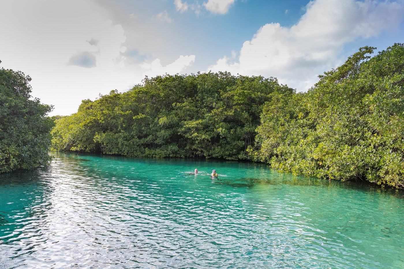 A quiet cenote swim in the Riviera Maya