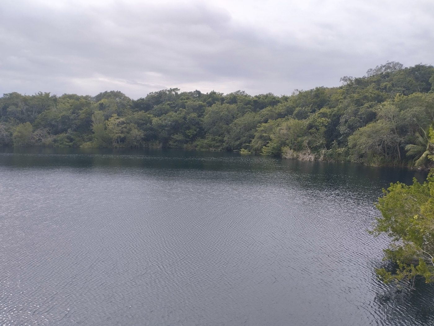 Swimming in a Riviera Maya cenote