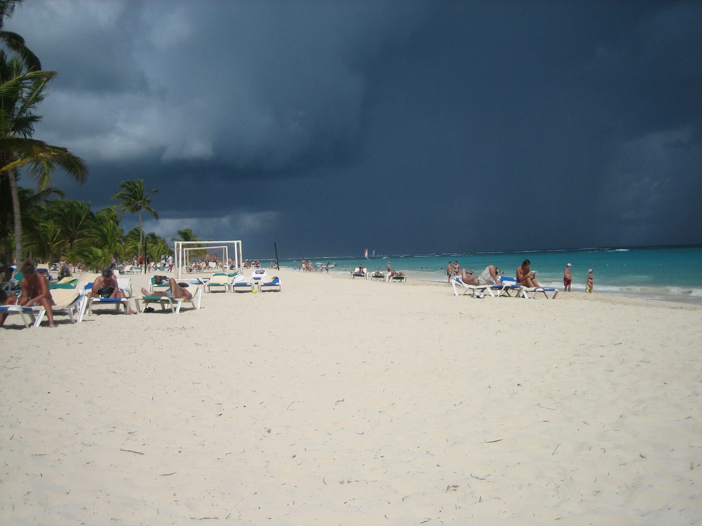 Palm-lined Caribbean beach with calm turquoise water at midday