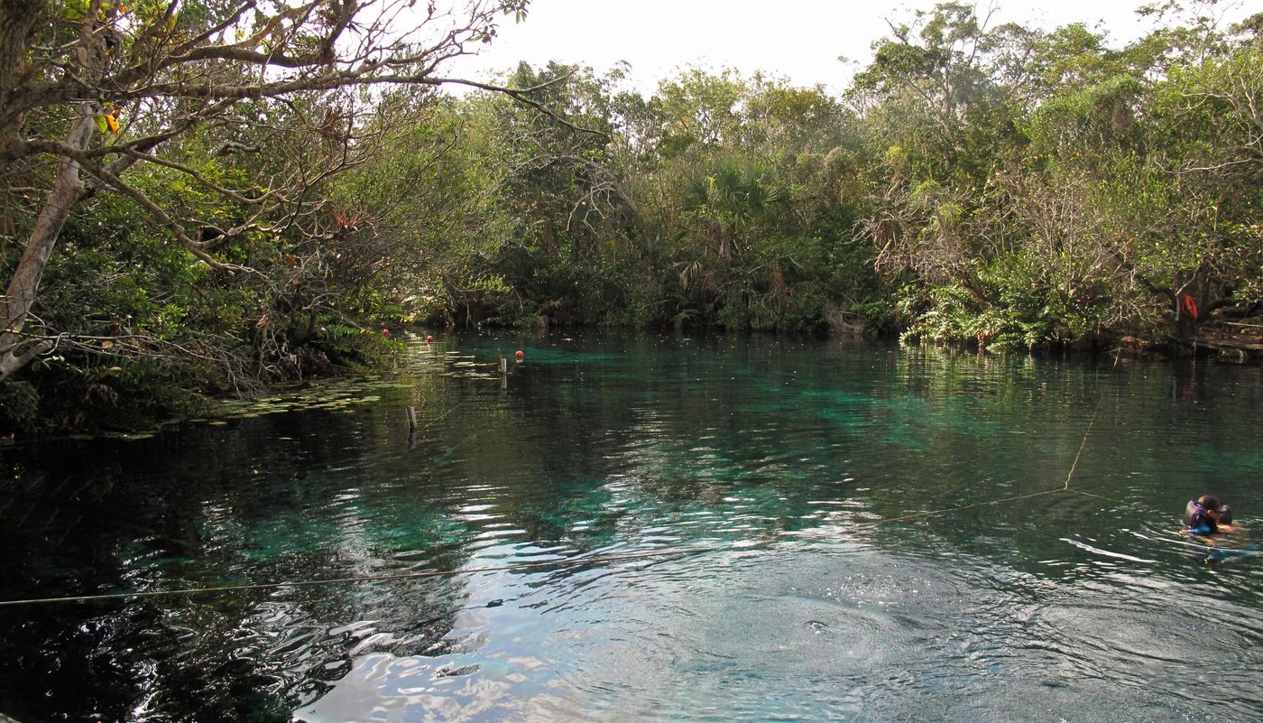 Cenote swimming hole surrounded by limestone and greenery