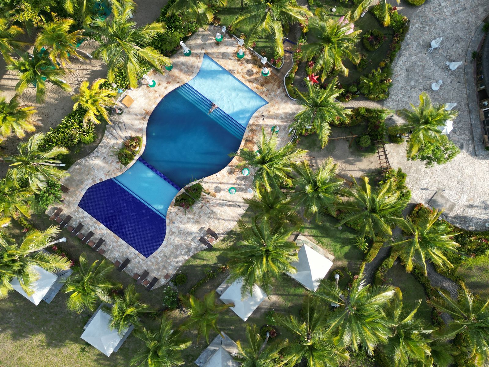 Aerial view of a Punta Cana resort pool surrounded by palms