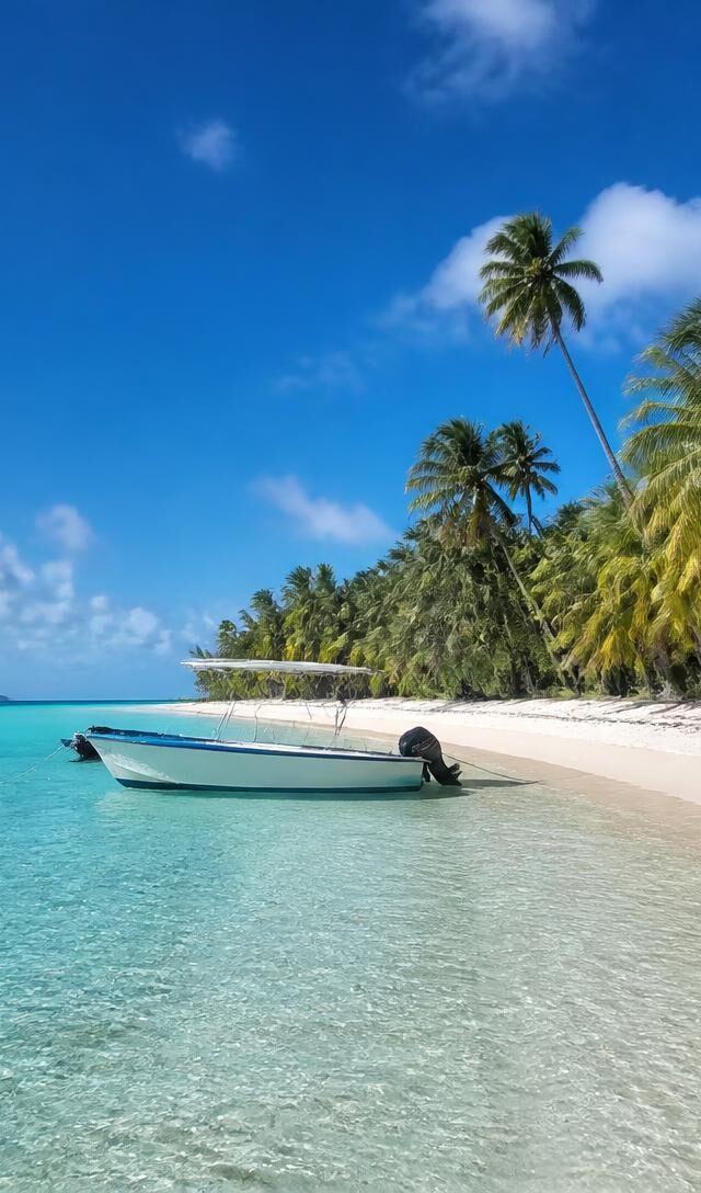 Saona Island From Punta Cana: Is It Worth the Trip?