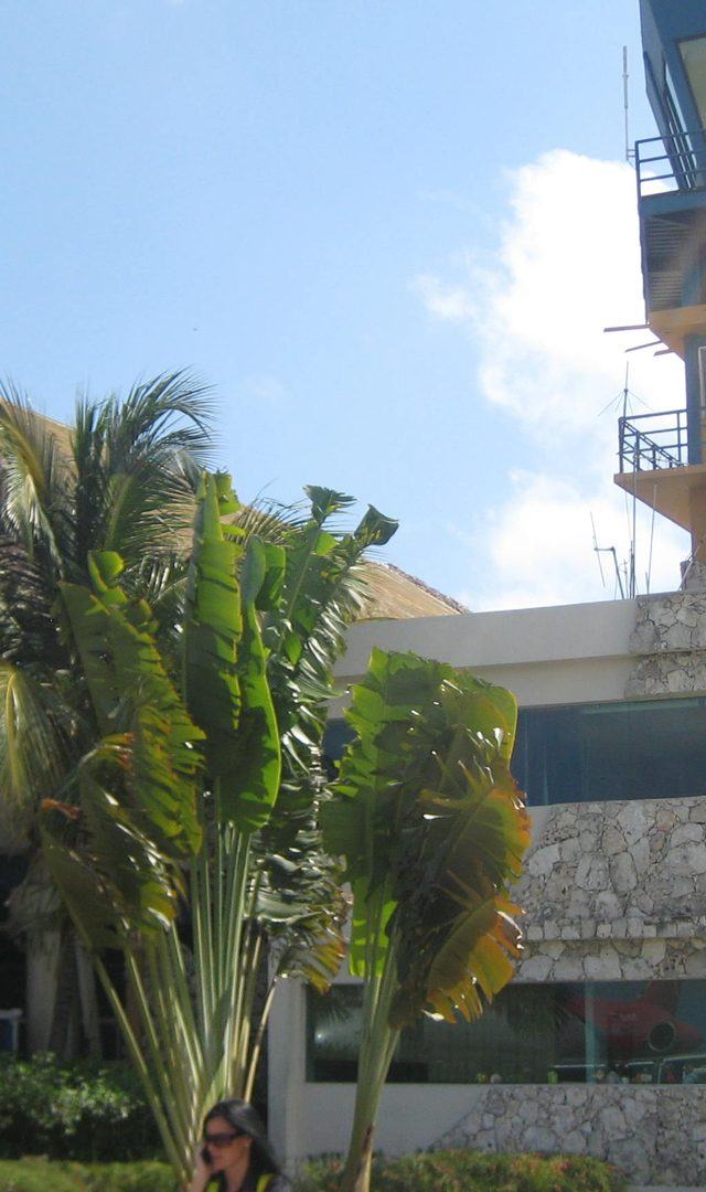 Montreal to Punta Cana for Memorial Day Weekend 2027