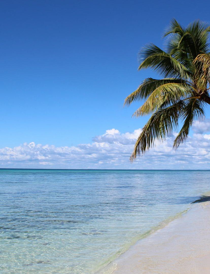 Punta Cana Bachelor Party Guide: A Real 4-Day Plan