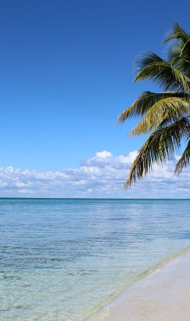 Punta Cana Bachelor Party Guide: A Real 4-Day Plan