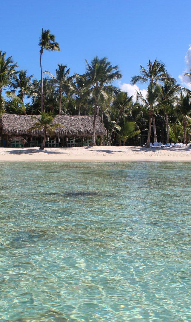 Best Punta Cana Activities for Large Groups (10-30 People)