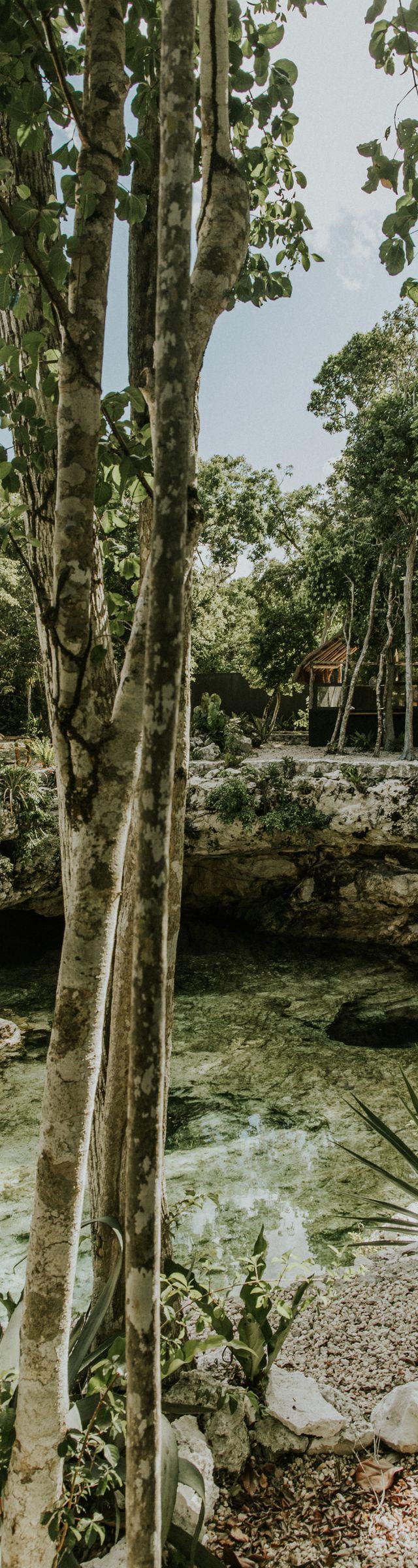 Punta Cana Cenotes & Caves: Hoyo Azul and the Best Swimming Holes
