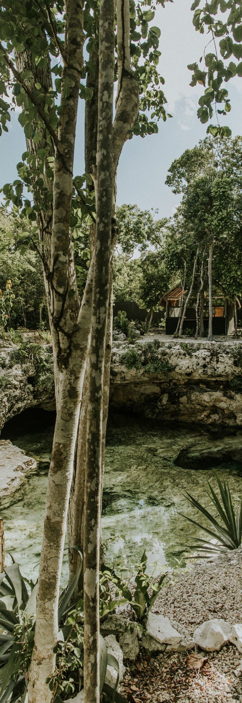 Punta Cana Cenotes & Caves: Hoyo Azul and the Best Swimming Holes