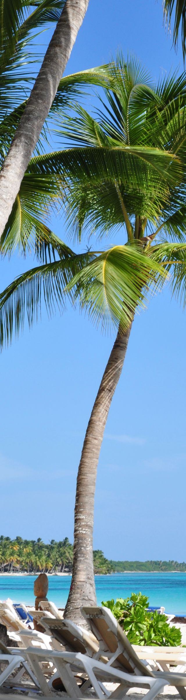 Best Beaches in Punta Cana for Swimming, Photos & Beach Days