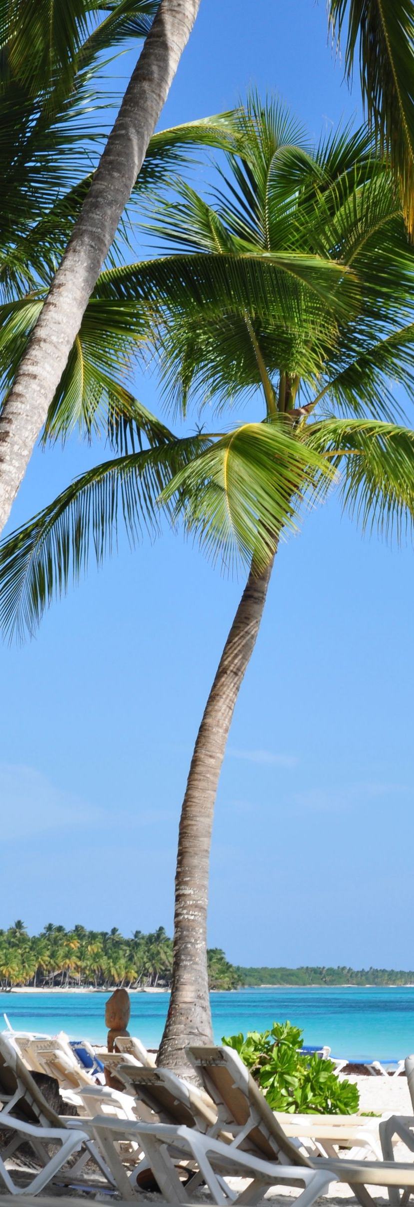 Best Beaches in Punta Cana for Swimming, Photos & Beach Days